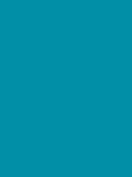 ribble touch up paint teal
