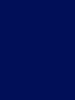 ribble touch up paint - cgr 725 - dark blue